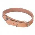 COLLIER CUIR RENFORCE