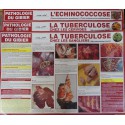 AFFICHES PATHOLOGIES DU GIBIER (5 FICHES)