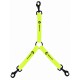ACCOUPLE JAUNE POUR 3 CHIENS
