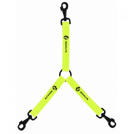 ACCOUPLE JAUNE POUR 3 CHIENS