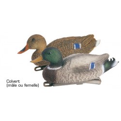 APPELANTS COUPLE COLVERT