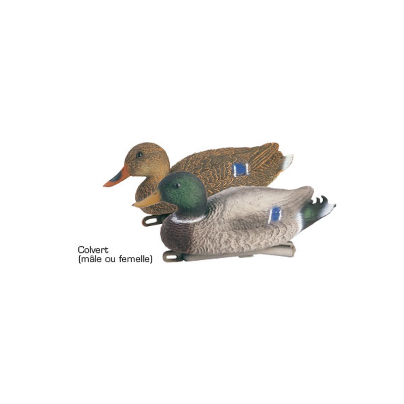 APPELANTS COUPLE COLVERT - Chasse et Territoire de l'Est